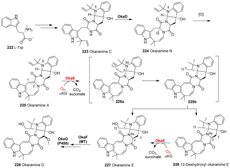 Fig. 25