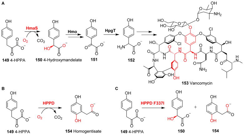 Fig. 15