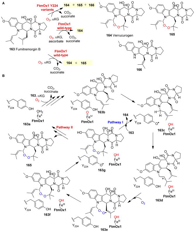 Fig. 17