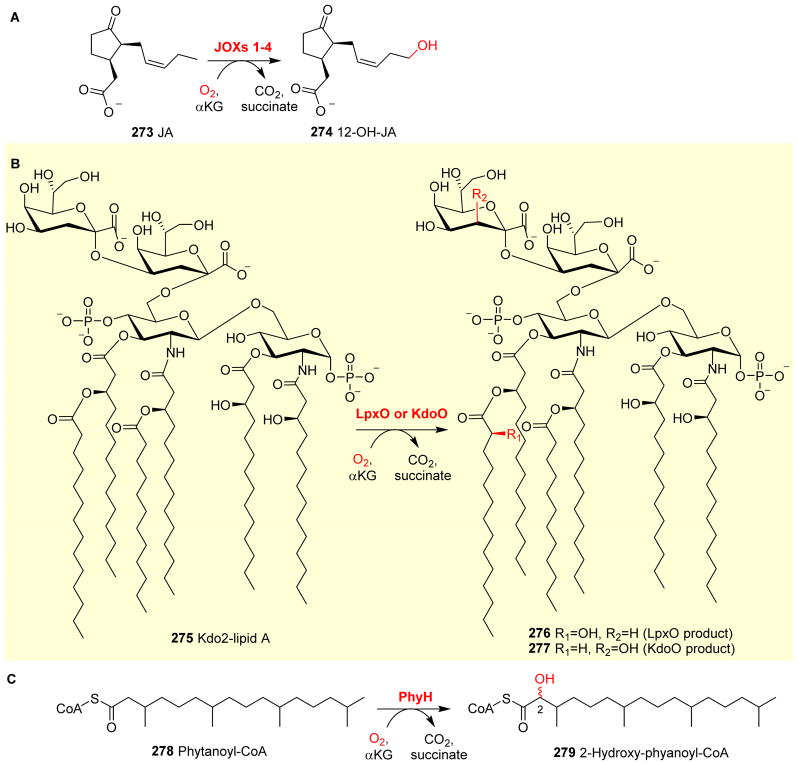 Fig. 29