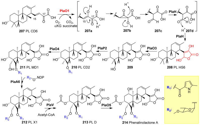 Fig. 23