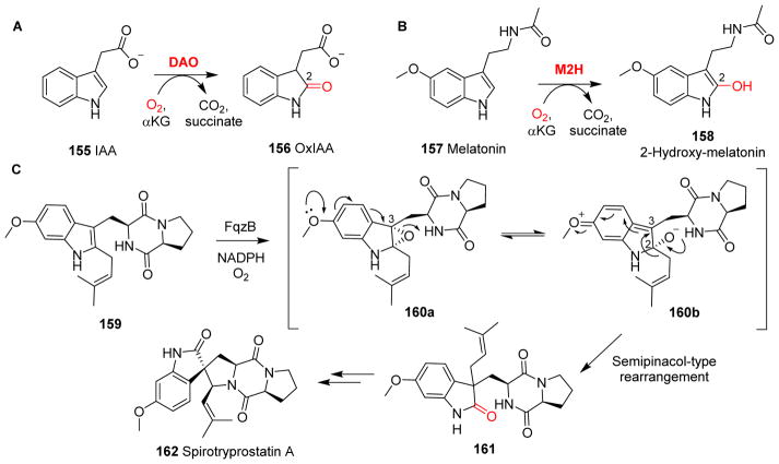 Fig. 16