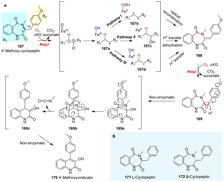 Fig. 18