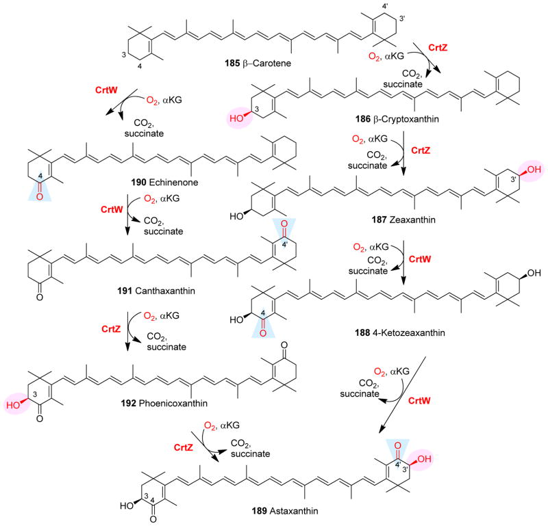 Fig. 21