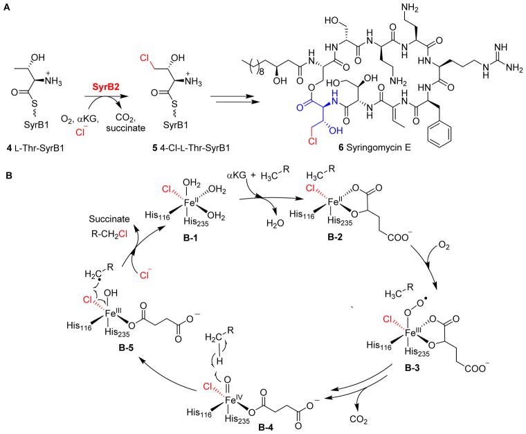 Fig. 3