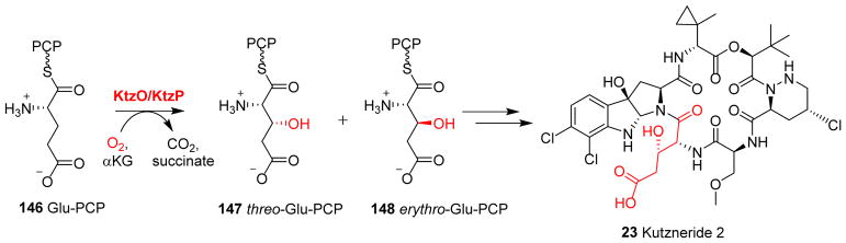 Fig. 14