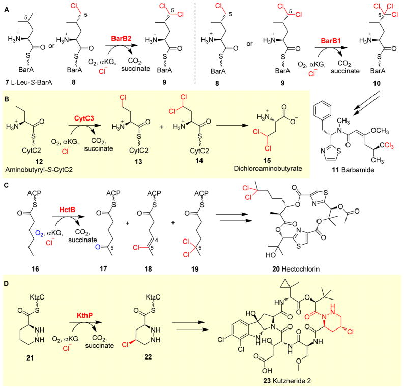 Fig. 4