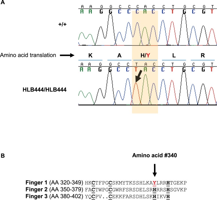 Fig 1