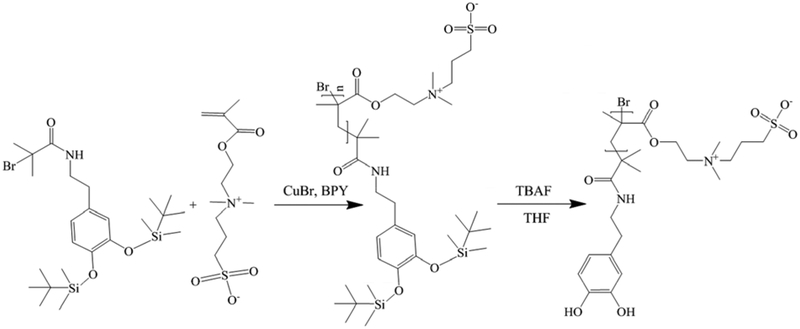 Scheme 2.