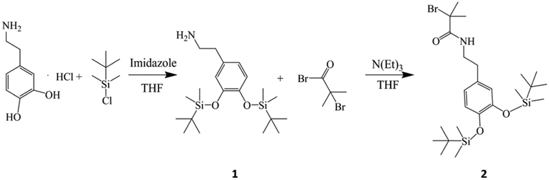 Scheme 1.