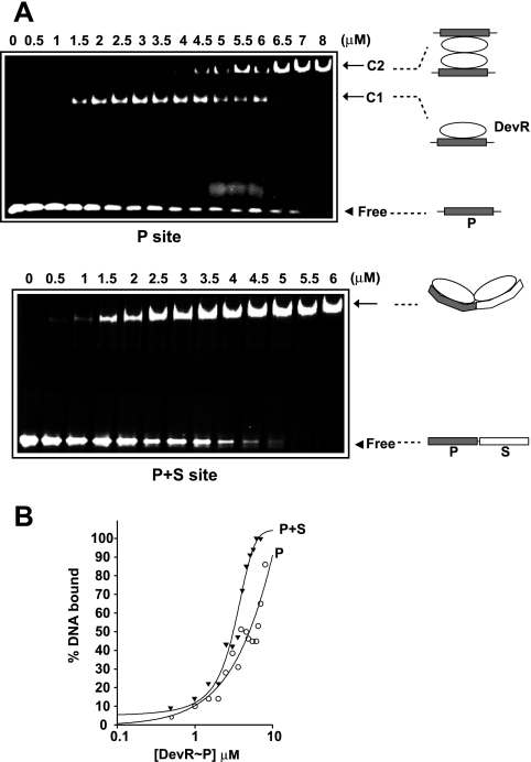 FIG. 6.