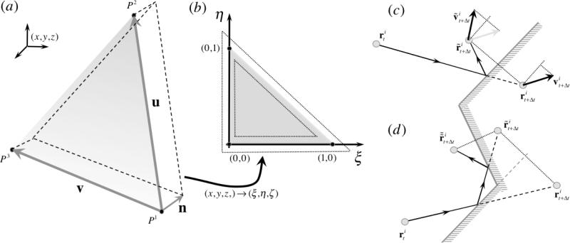 FIGURE 12