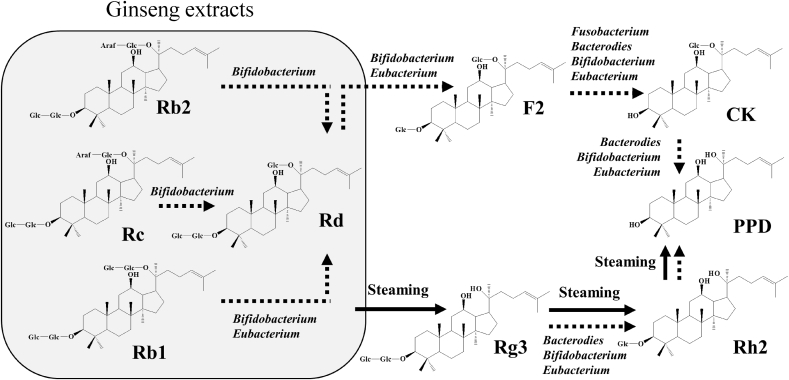 Fig. 1