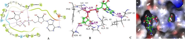 Figure 7