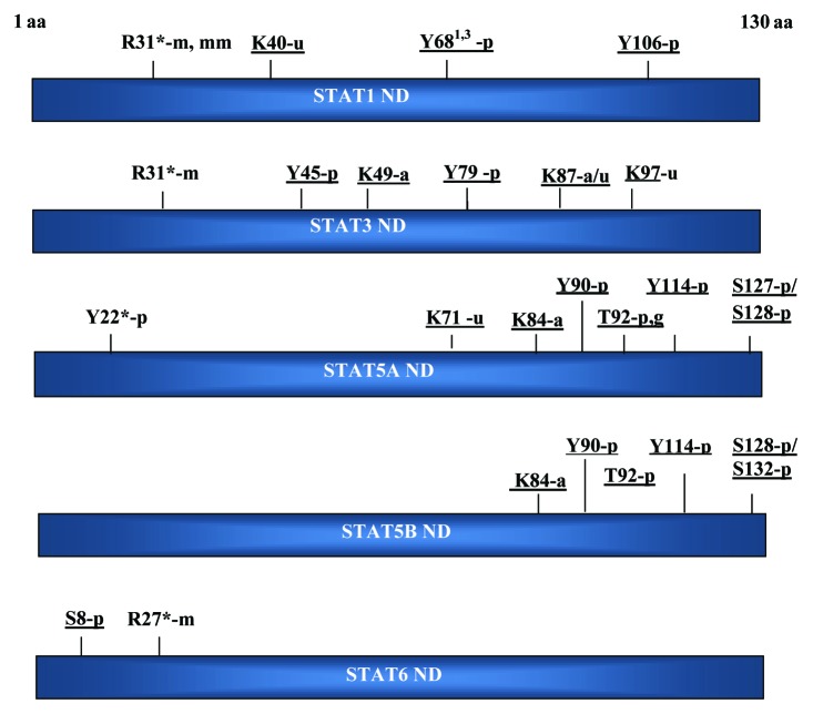 graphic file with name jkst-1-274-g2.jpg