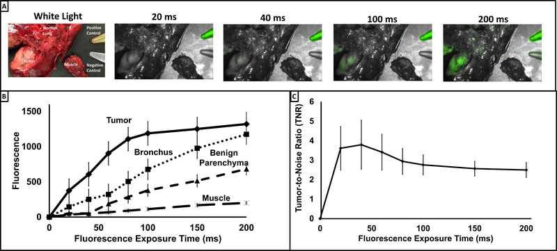 Figure 5: