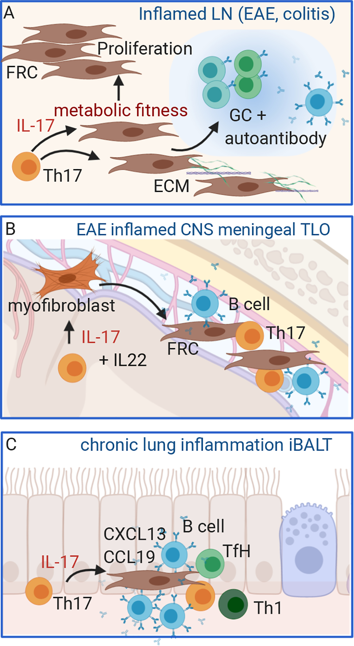 Figure 2: