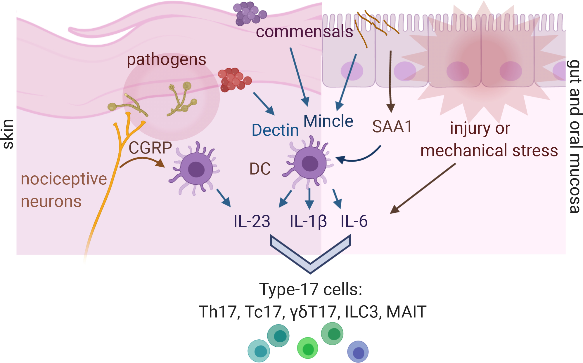 Figure 3: