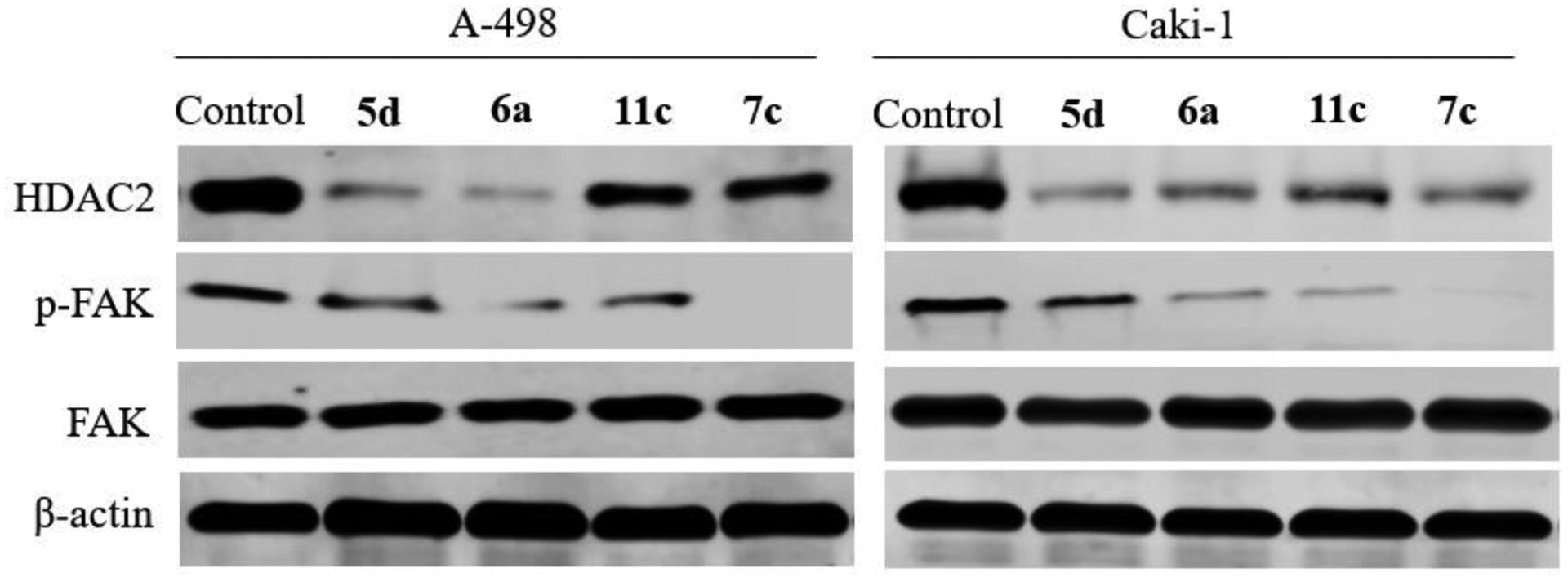 Figure 5: