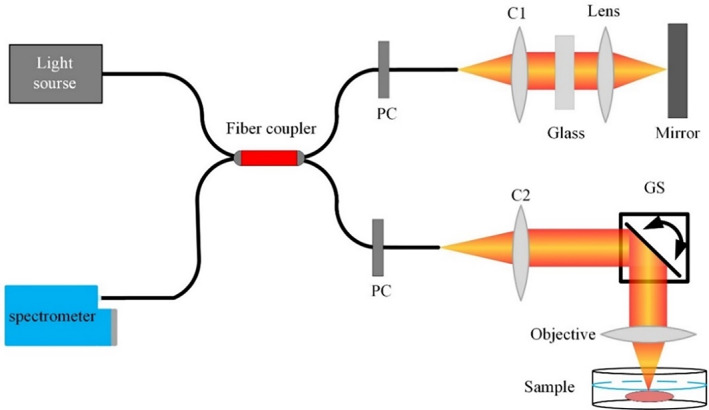 FIGURE 2