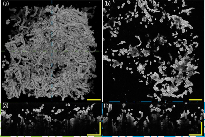 FIGURE 9