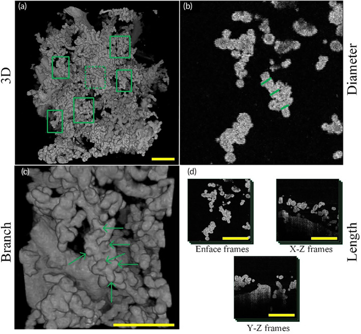 FIGURE 3