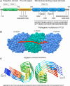 Fig. 1