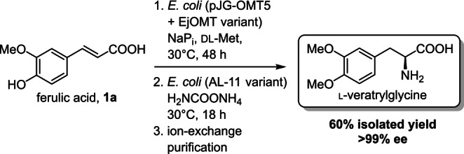 Scheme 3