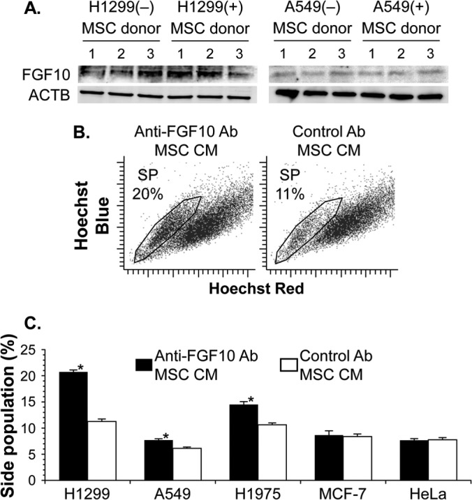 FIG 6