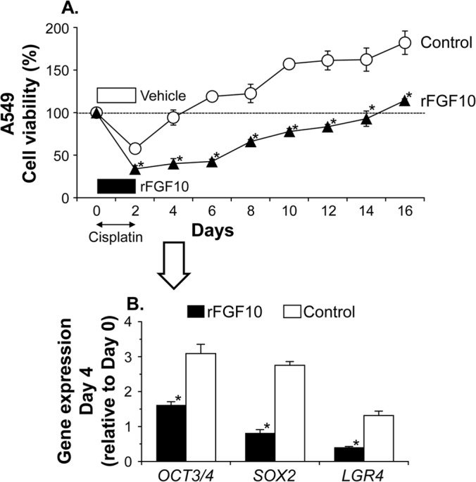 FIG 8