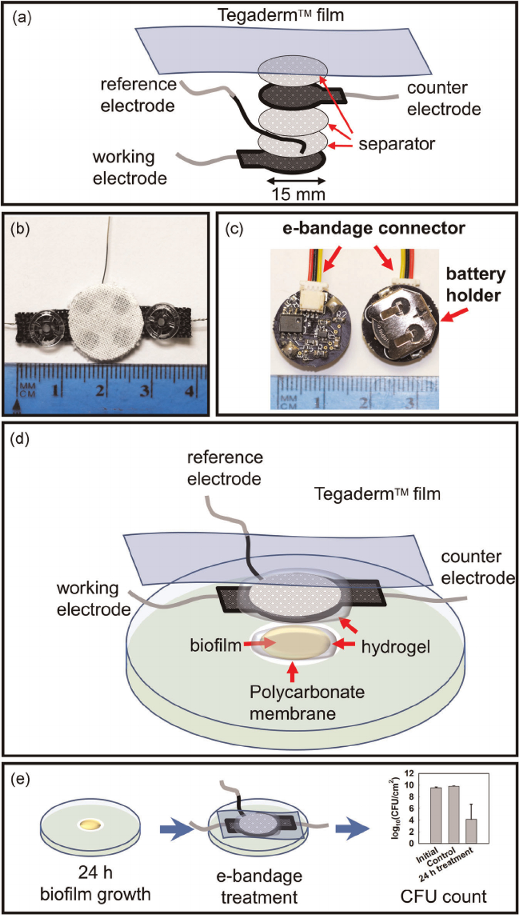 FIGURE 4