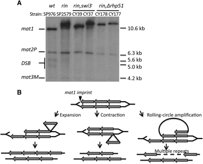 Figure 3 