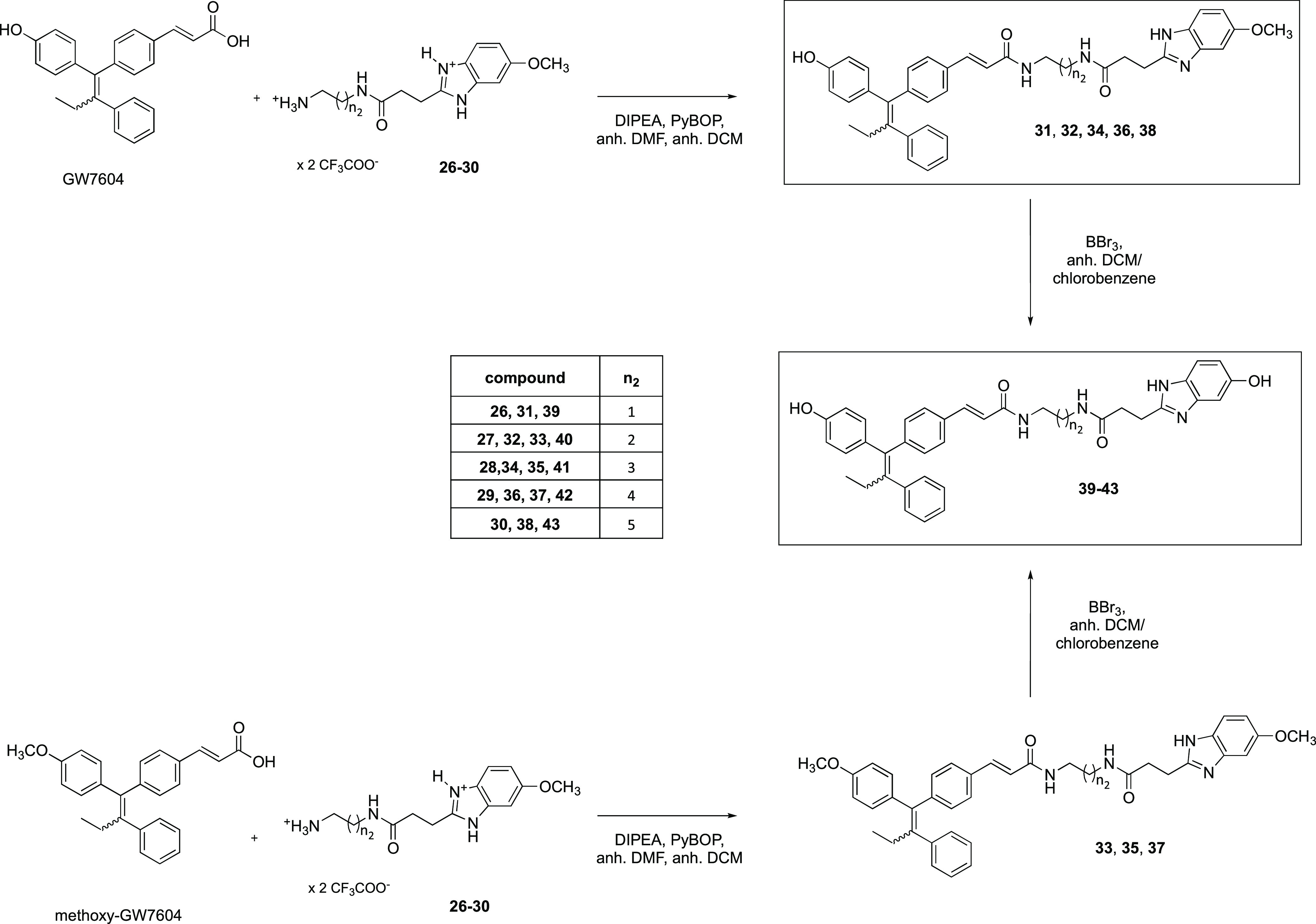 Scheme 4
