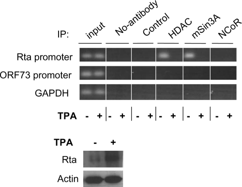 FIG. 8.