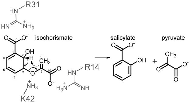 Scheme 2