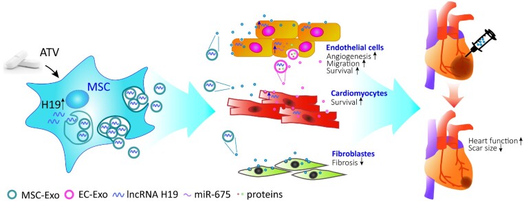 Graphical Abstract