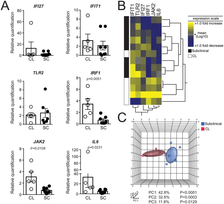 Fig 6