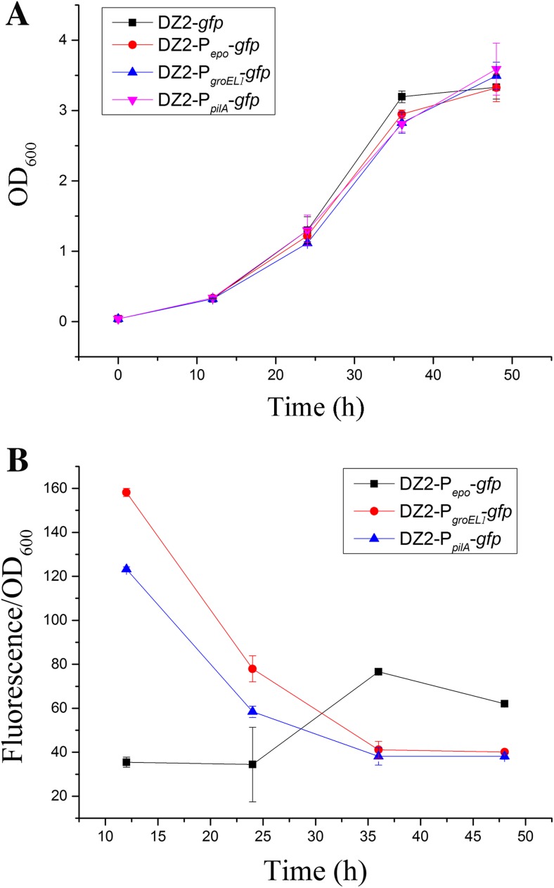 Fig. 4