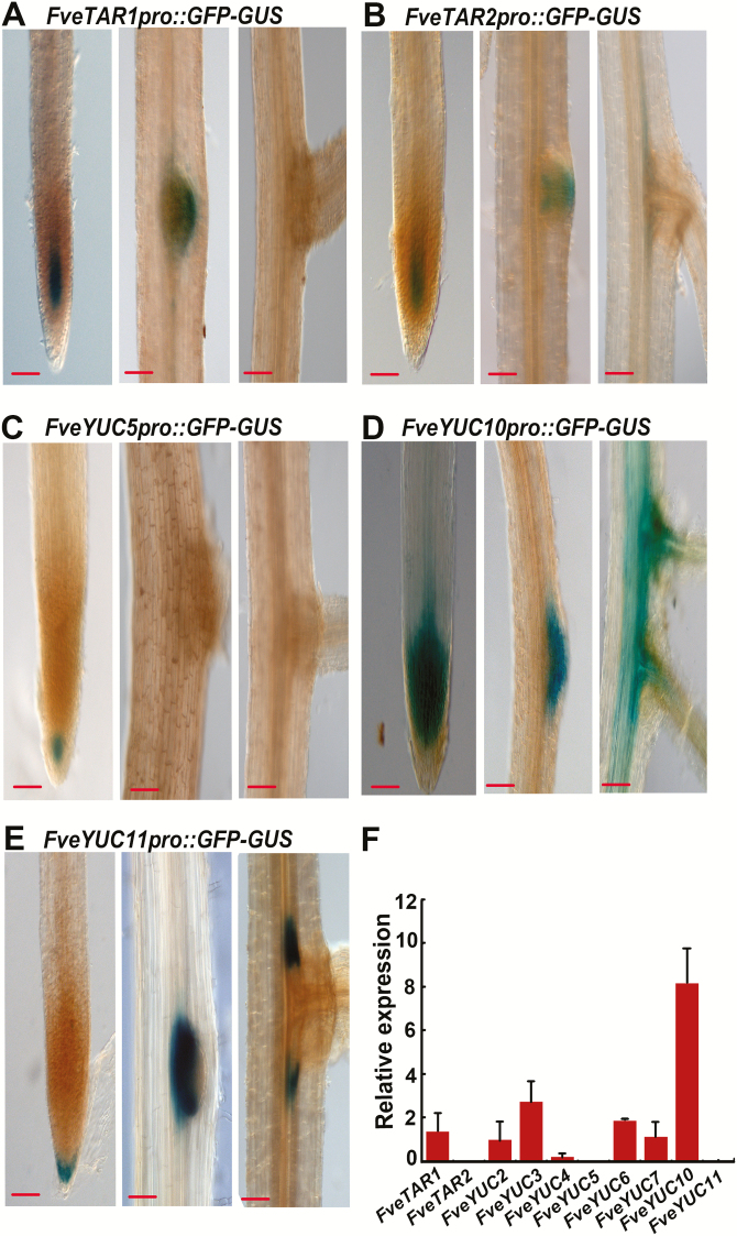 Fig. 4.