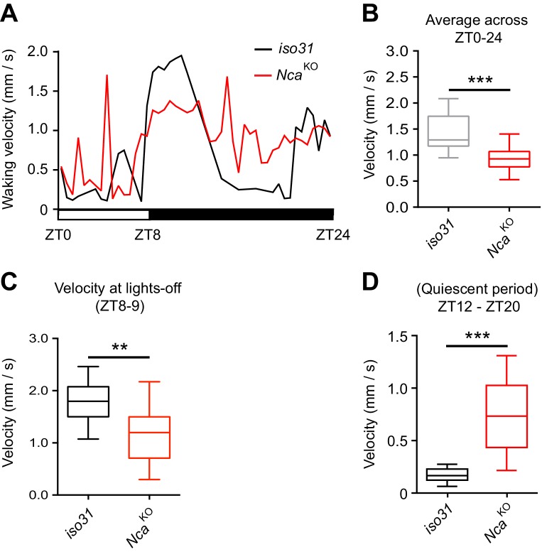 Figure 1—figure supplement 8.