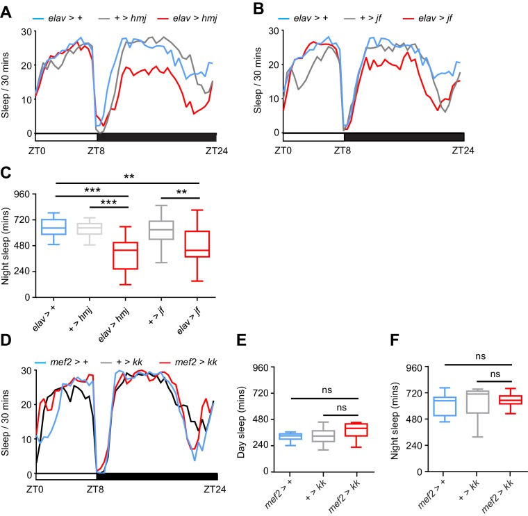 Figure 1—figure supplement 4.