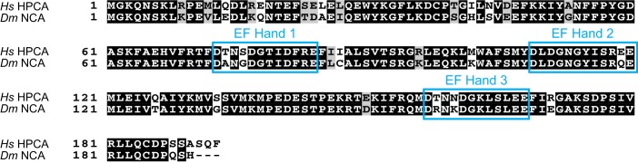 Figure 1—figure supplement 1.