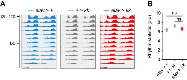 Figure 1—figure supplement 5.