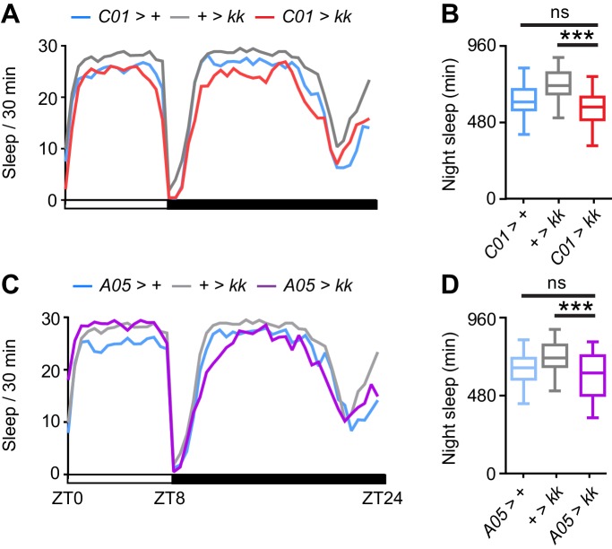 Figure 4—figure supplement 2.