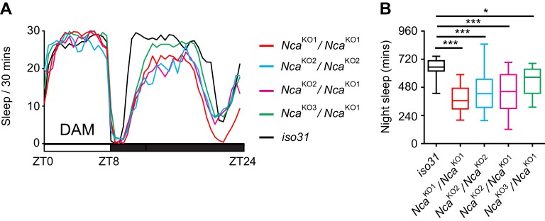 Figure 1—figure supplement 7.