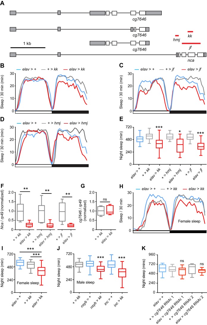 Figure 1—figure supplement 2.