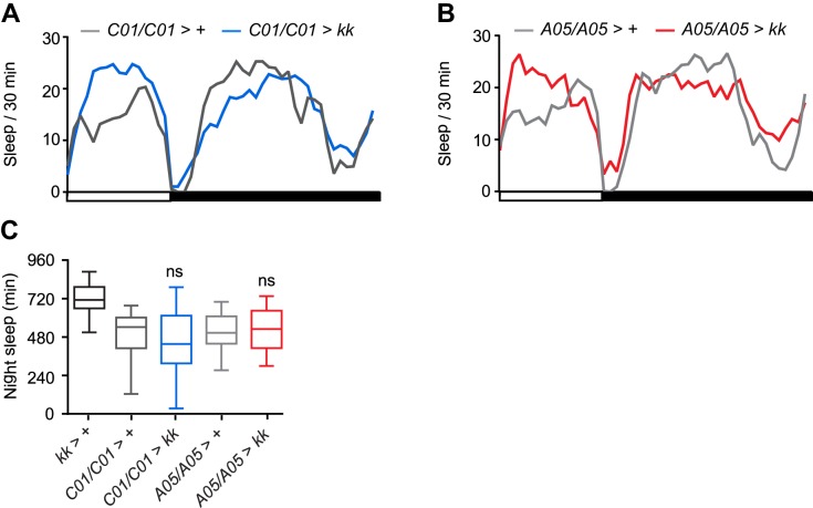 Figure 5—figure supplement 1.