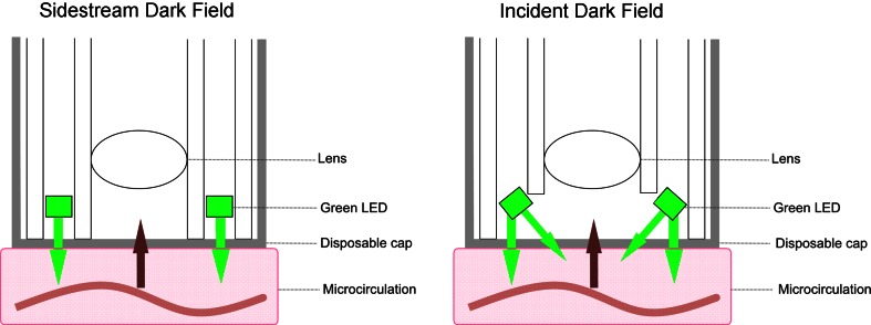 Fig. 1