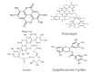 Fig. (5)