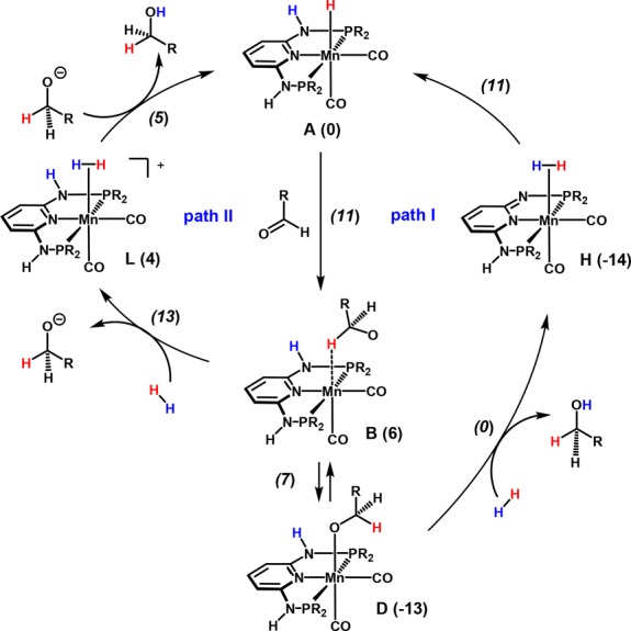 Scheme 6